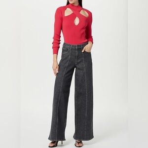 NWT Stylish Chic Charcoal Wide-Leg Flare Jeans